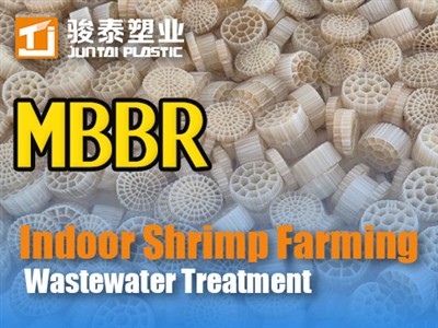 MBBR لمعالجة مياه الصرف الصحي في تربية الروبيان في الأماكن المغلقة|دليل الخبراء