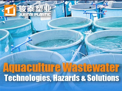 معالجة مياه الصرف الصحي في تربية الأحياء المائية: التقنيات والمخاطر والحلول|مرشد